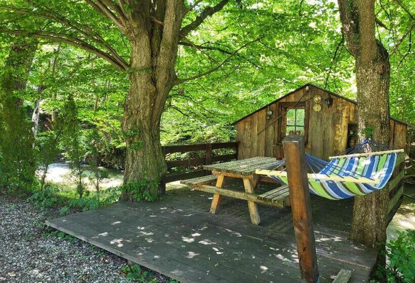 Пансион Vila Brandusa