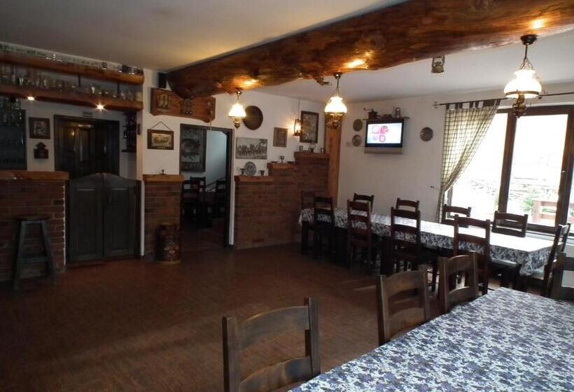 Пансион Vila Brandusa