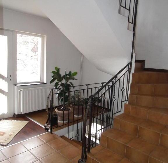 Пансион Vila Brandusa