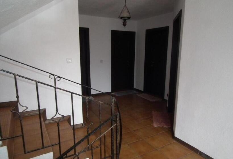 Пансион Vila Brandusa