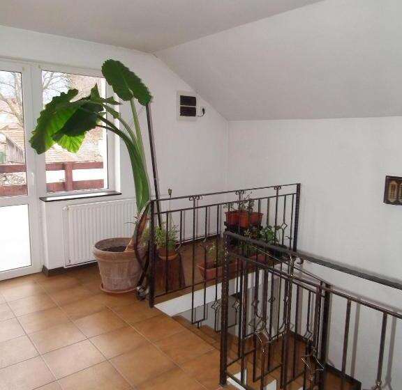 Пансион Vila Brandusa