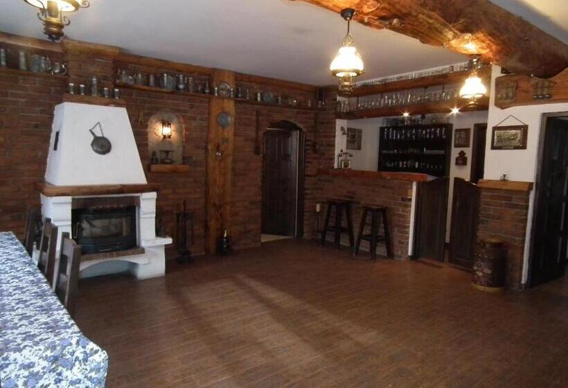 Пансион Vila Brandusa