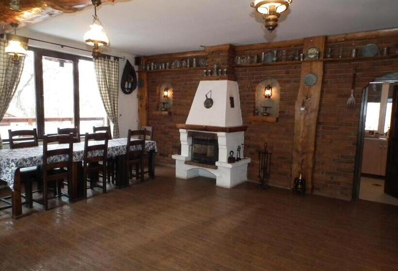 Пансион Vila Brandusa