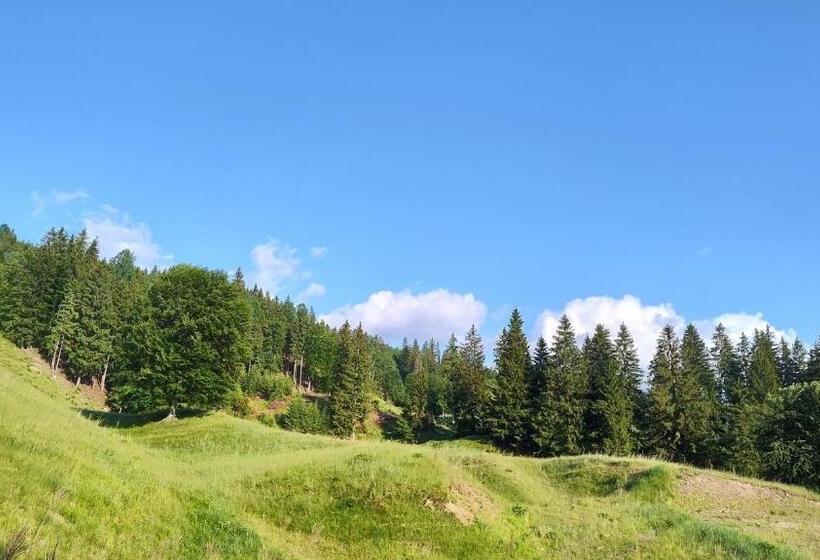 Sezatoarea Lupilor