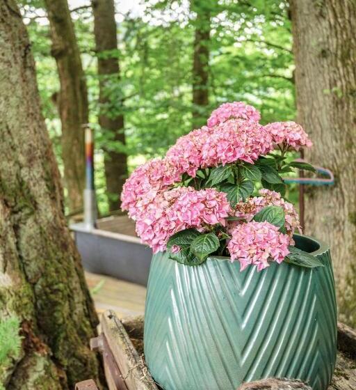 The Loveshack Lodge Balquhidder