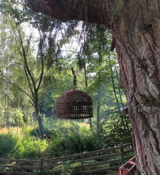 The Loveshack Lodge Balquhidder