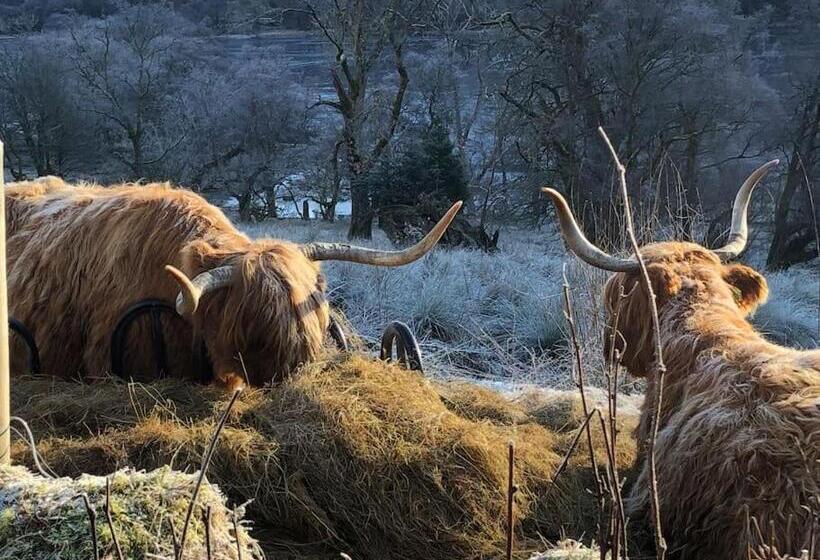 The Loveshack Lodge Balquhidder