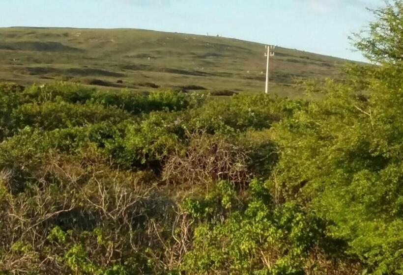 הוסטל Pousada Maria Sara