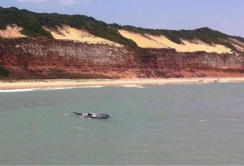 Sonia Flats Pipa S Bay Flat 211