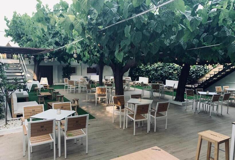 فندق Mesón Kubano B&b