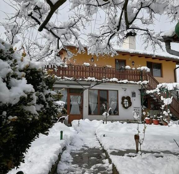 Пансион къща за гости градината