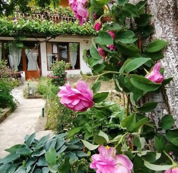 Пансион къща за гости градината