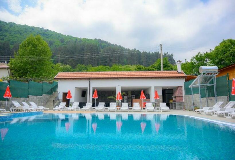 بنسيون вила влахов