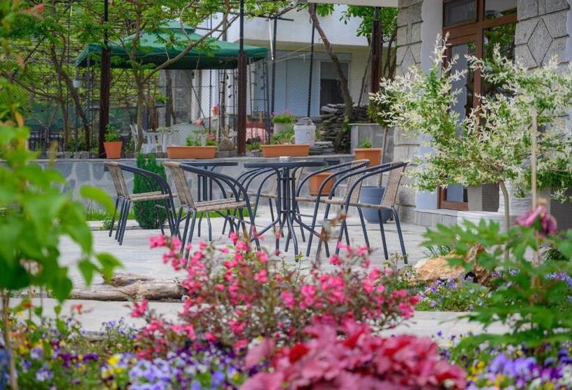 بنسيون вила влахов