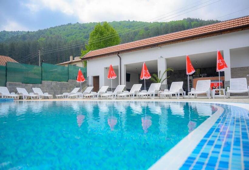 بنسيون вила влахов