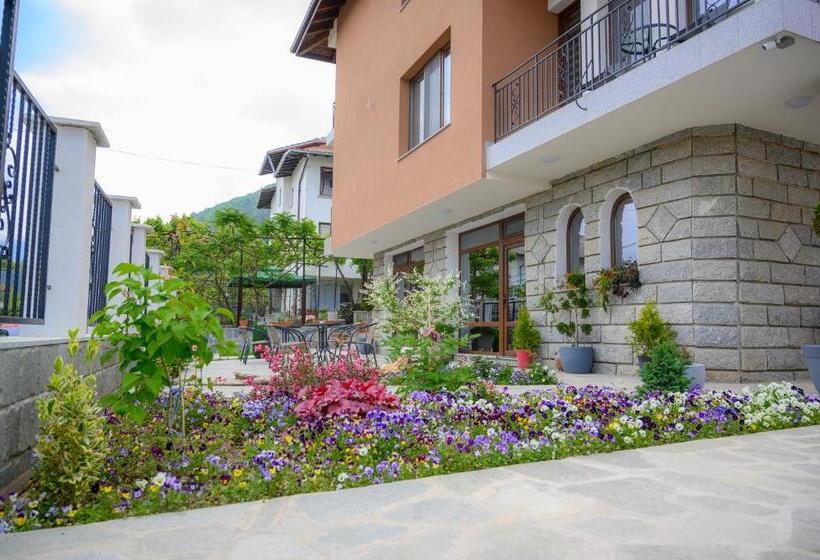 بنسيون вила влахов