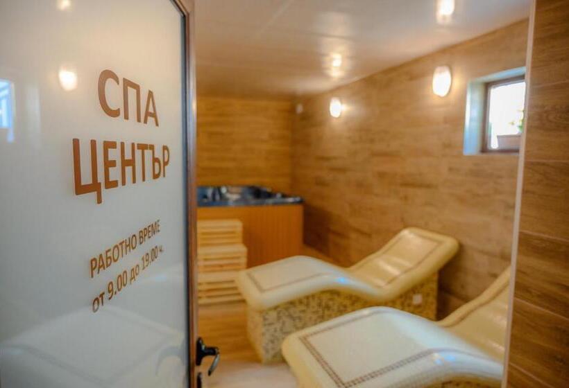 بنسيون вила влахов