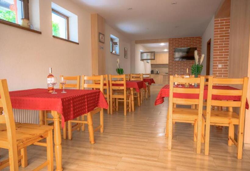 بنسيون вила влахов