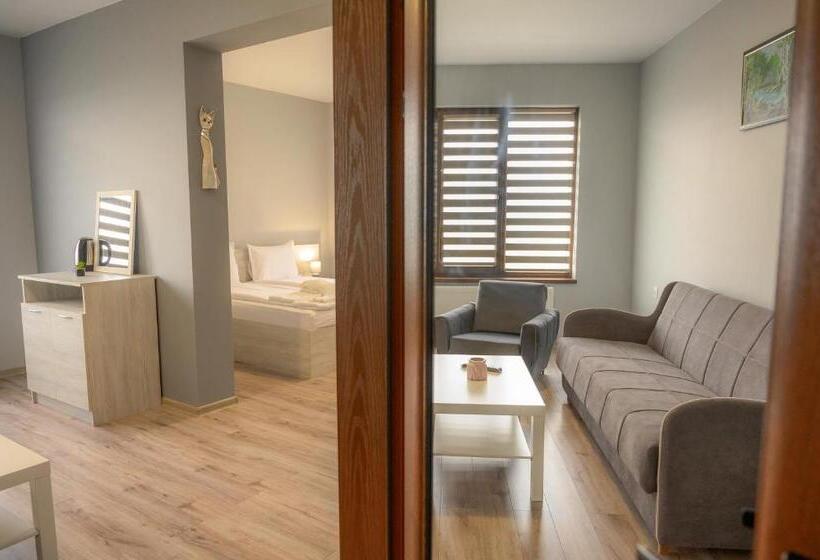 بنسيون вила влахов