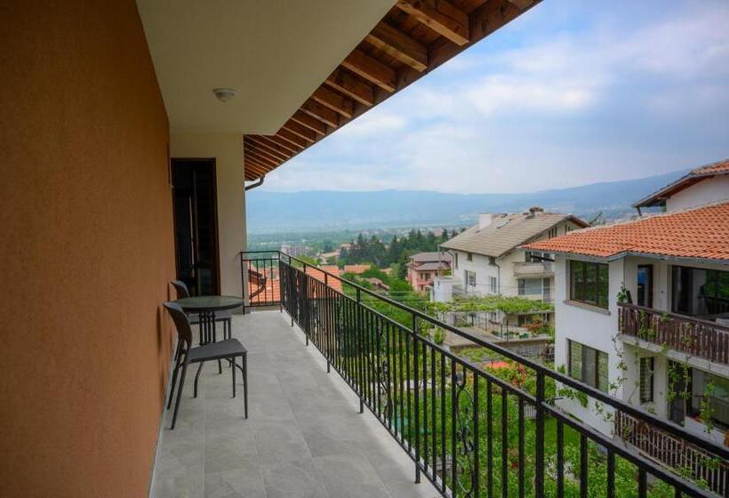 بنسيون вила влахов