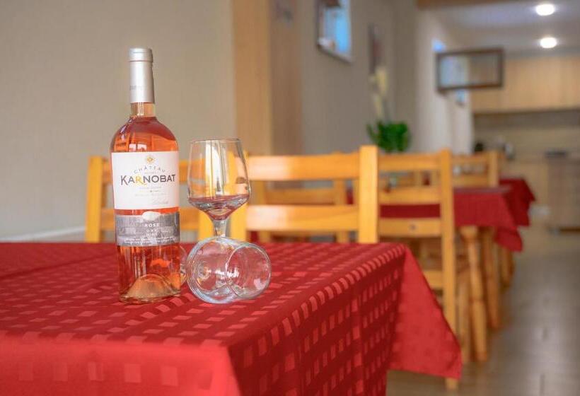 بنسيون вила влахов