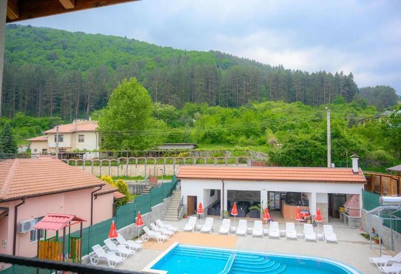 بنسيون вила влахов