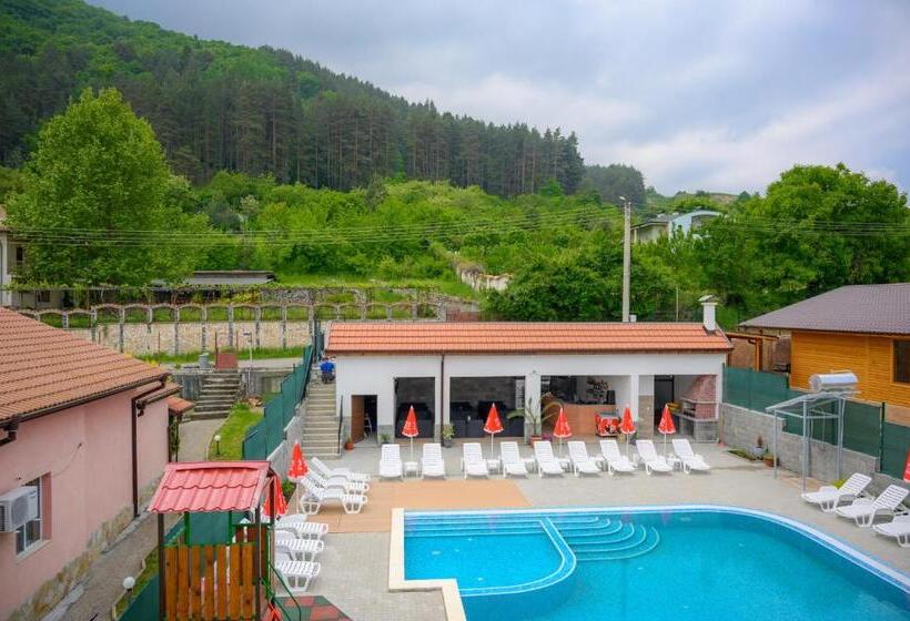 بنسيون вила влахов