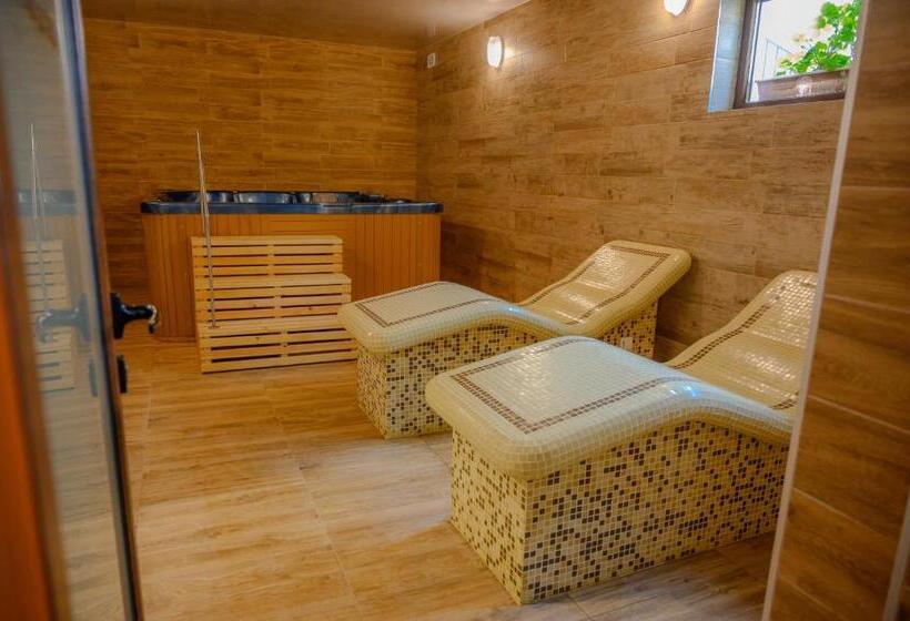 بنسيون вила влахов