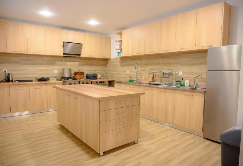 بنسيون вила влахов