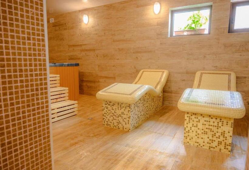 بنسيون вила влахов