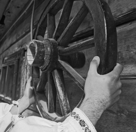 פנסיון Căsuța Tivadar