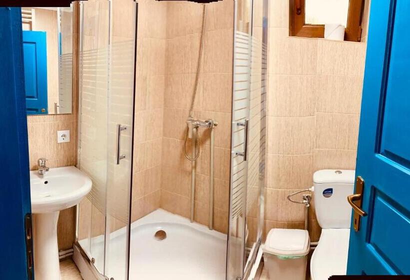 פנסיון Căsuța Tivadar