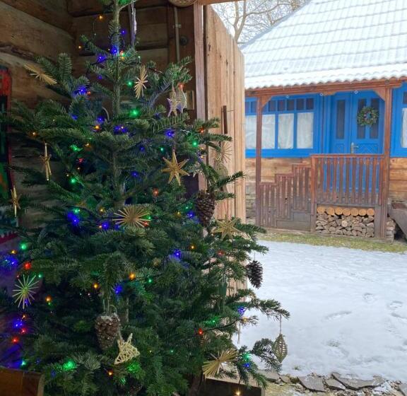 פנסיון Căsuța Tivadar