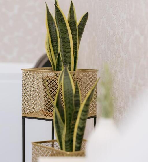 膳宿费 Porta D'oro Charming House