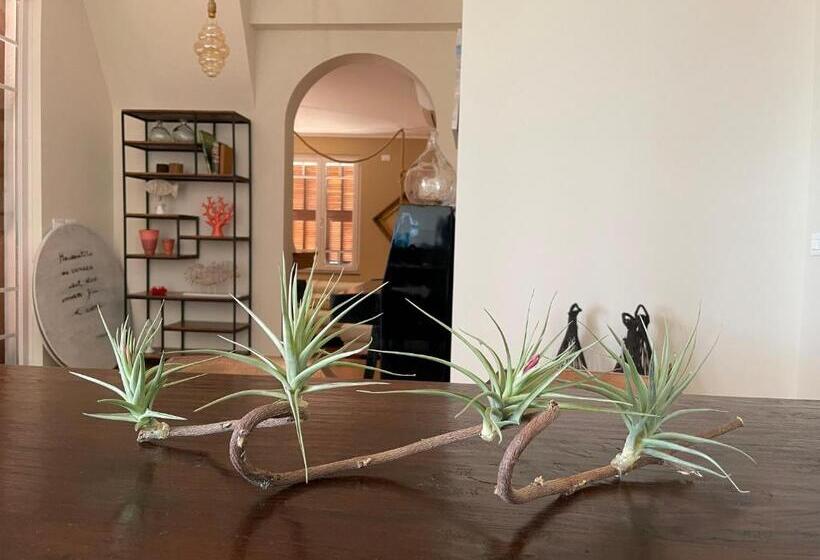 پانسیون Sotto Le Stelle ...il Mare