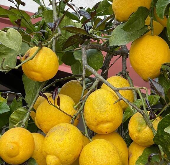 Пансион Sotto Le Stelle ...il Mare