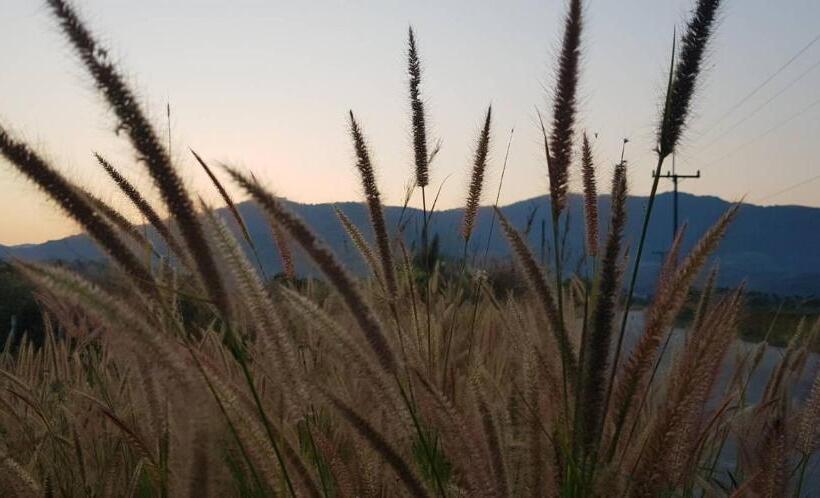 บ้านเชียงรายรีสอร์ท Baan Chiangrai Resort