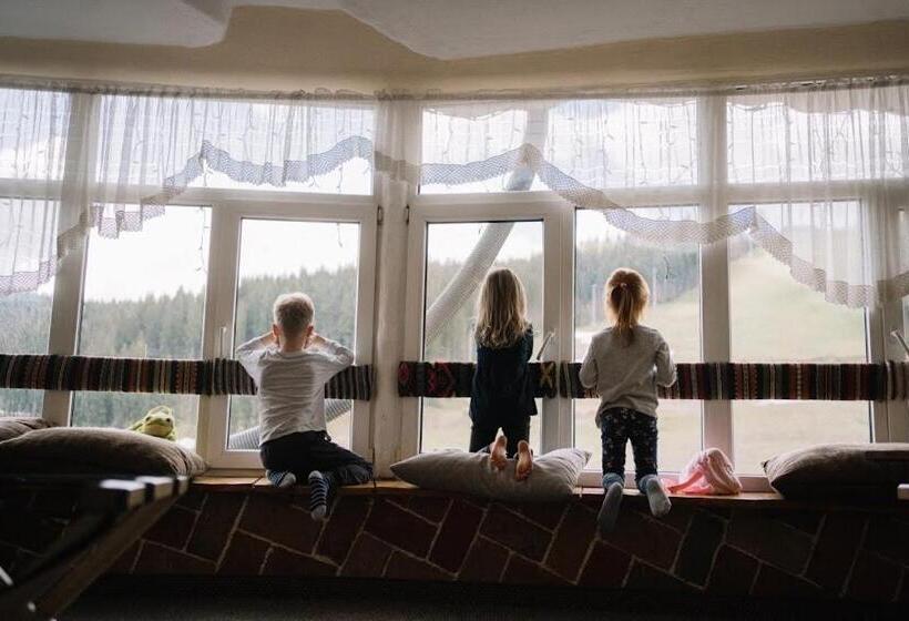 هاستل грибова хата