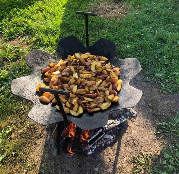 Hostel у тарнавских