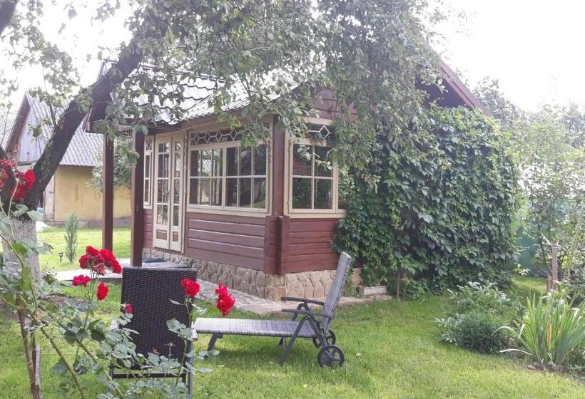 Hostel у тарнавских