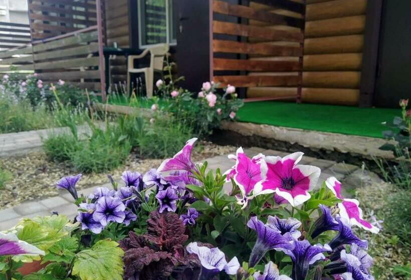 호스텔 отель лагита