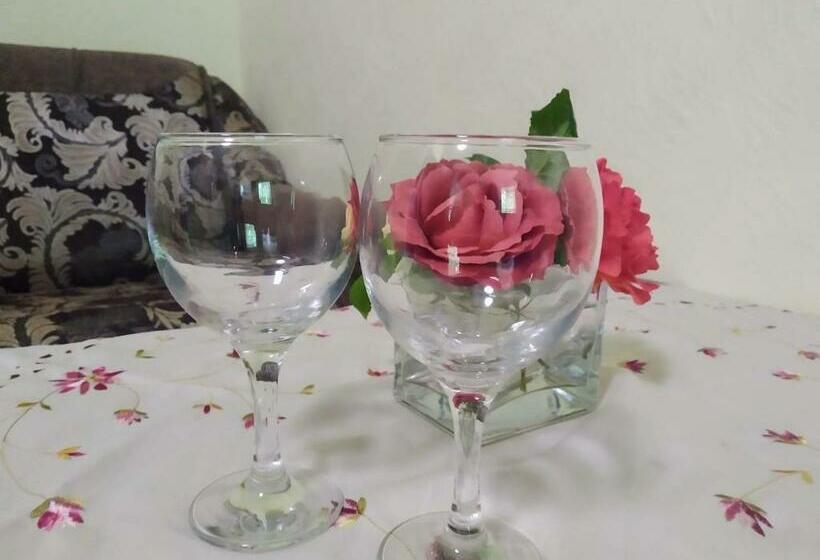 호스텔 отель лагита