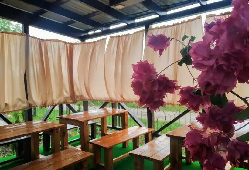 호스텔 отель лагита