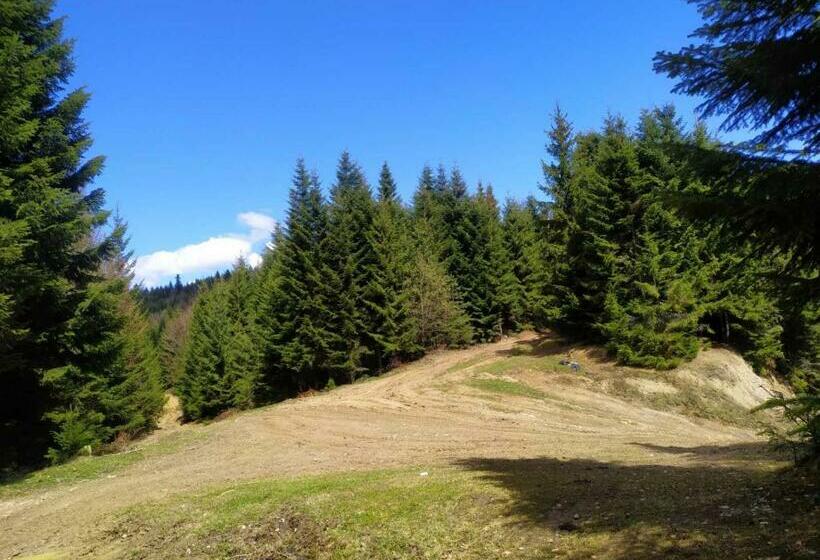 住宿加早餐  садиба у пані марії