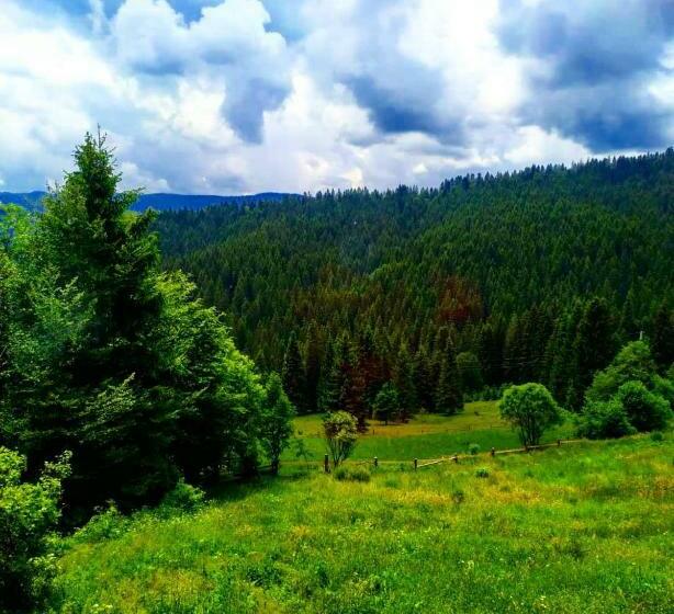 住宿加早餐  садиба у пані марії