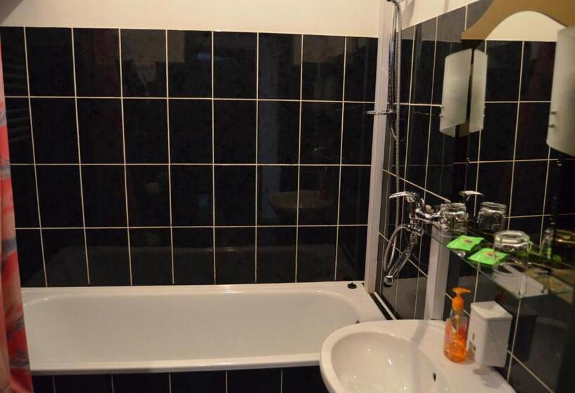 Отель коломия готель