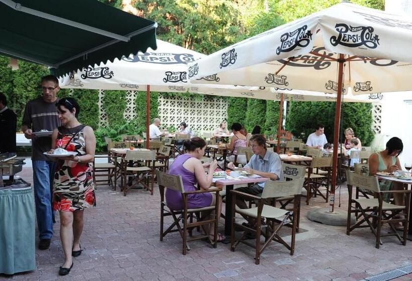 هتل Minaret&étterem