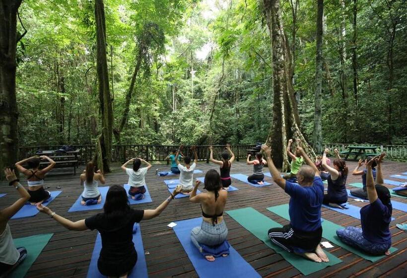 Mulu Marriott Resort