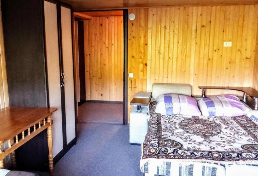 Пансион гостьовий дім у ані