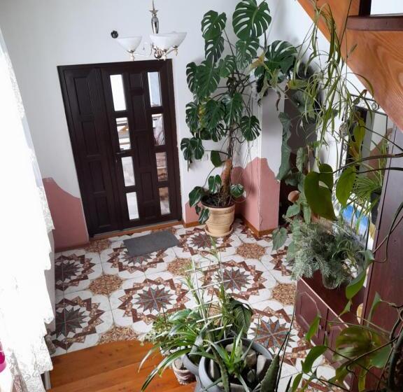 پانسیون у ані